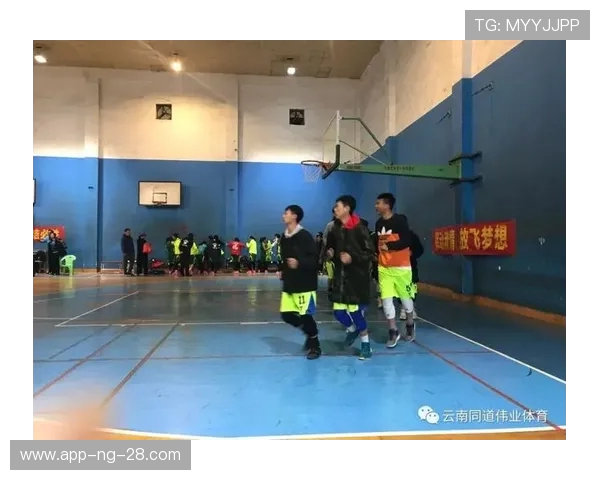 探寻职业篮球运动员成长道路与赛场综合表现深度全面解析研究报告