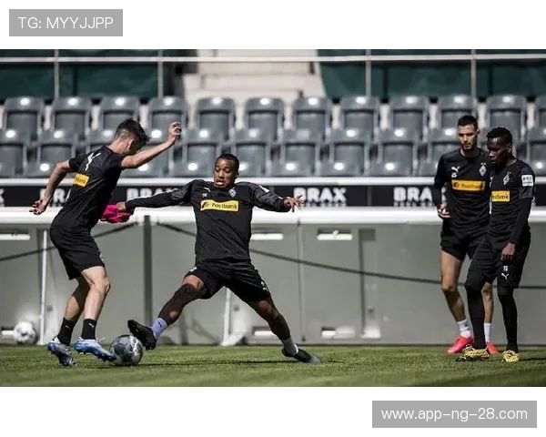 浙江队全力冲击新赛季目标展望未来展现团队实力与无限潜能